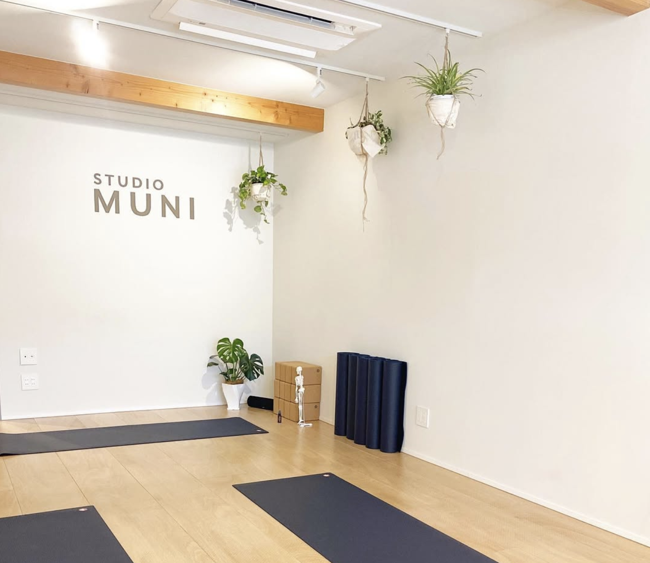 STUDIO MUNI